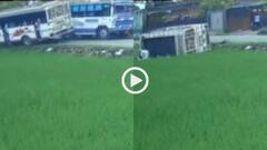 Video: आमने सामने दो बस, निकलते वक्त एक खेत में पलटी, पंजाब में एक्सीडेंट का वीडियो वायरल