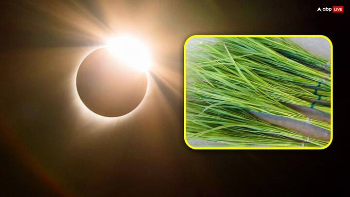 वहीं माना जाता है कि कुशा मां सीता के केश से बनी है वहीं दूसरी मान्यता अनुसार भगवान विष्णु के वहाह अवतार के दौरान उनकी झड़े हुए बालों से कुशा की उत्पत्ति हुई. इसलिए इसी बेहद पवित्र माना जाता है. ग्रहण काल में तुलसी के साथ-साथ हर वस्तु में कुश डालने की भी मान्यता है.