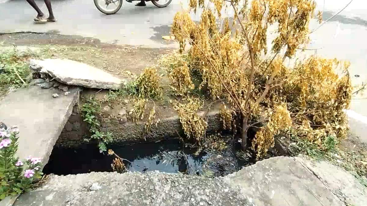 சீர்காழியில் காவு வாங்க காத்திருக்கும் சாக்கடை கால்வாய்: அலட்சியத்தால் அதிகரிக்கும் உயிரிழப்பு அபாயம்! நகராட்சி நடவடிக்கை எடுக்குமா?