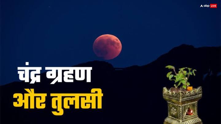 चंद्र ग्रहण के दिन गमले में लगा तुलसी का पौधा घर के मध्य में रख दें, कहते हैं इसके प्रभाव से नकारात्मक ऊर्जा घर में प्रवेश नहीं करती और सकारात्मकता बनी रहती है. ये कार्य सूतक लगने से पहले करें.
