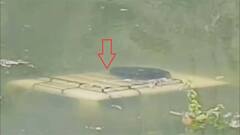 अल्मोड़ा के चौखुटिया में हादसा, तड़ाग ताल में गिरा यात्री वाहन, लोगों ने तैरकर बचाई जान