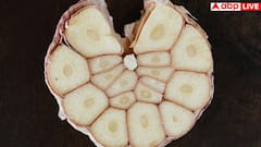 बाजार में बिक रहा सीमेंट से बना लहसुन, इसे कैसे पहचानें और यह सेहत के लिए कितना खतरनाक?