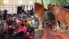 यमुना का रौद्र रूप, नोएडा में बाढ़ से तबाही, फार्म हाउस जलमग्न, किसानों की मेहनत पर फिरा पानी