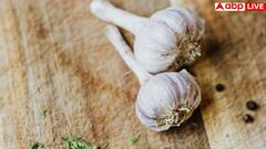बाजार में बिक रहा सीमेंट से बना लहसुन, इसे कैसे पहचानें और यह सेहत के लिए कितना खतरनाक?