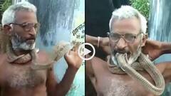 Video: सांप का फन मुंह में दबाकर खेलता दिखा बुजुर्ग, गले में लटकाया, वीडियो देख सूख जाएगा दम!