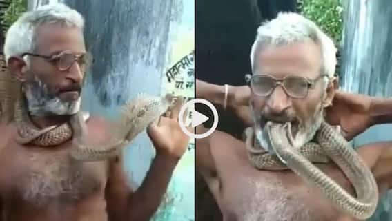 Video: सांप का फन मुंह में दबाकर खेलता दिखा बुजुर्ग, गले में लटकाया, वीडियो देख सूख जाएगा दम! Video: सांप का फन मुंह में दबाकर खेलता दिखा बुजुर्ग, गले में लटकाया, वीडियो देख सूख जाएगा दम!