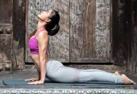 તમારા આંતરડાના સ્વાસ્થ્યને સૂર્ય નમસ્કાર ઘણી હદ સુધી સુધારી શકે છે. જો તમે તમારી જાતને પેટ સંબંધિત સમસ્યાઓથી બચાવવા માંગો છો, તો સૂર્ય નમસ્કાર કરવાનું શરૂ કરો.