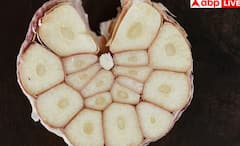 ਬਜ਼ਾਰ ‘ਚ ਵਿੱਕ ਰਿਹਾ ਸੀਮਿੰਟ ਨਾਲ ਬਣਿਆ ਲਸਣ, ਇਦਾਂ ਕਰੋ ਪਛਾਣ, ਜਾਣੋ ਸਿਹਤ ਲਈ ਕਿੰਨਾ ਖਤਰਨਾਕ?