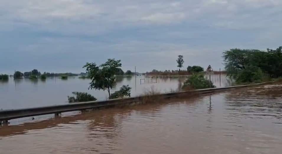 Patiala: ਘਨੌਰ ਦੇ 21 ਪਿੰਡਾਂ 'ਚ ਹਾਈ ਅਲਰਟ, ਘੱਗਰ ਦਰਿਆ ਦਾ ਪਾਣੀ ਵਧਣ ਕਾਰਨ ਪ੍ਰਸ਼ਾਸਨ ਸੁਚੇਤ, ਇੱਕ ਸ਼ਖਸ ਨੂੰ ਸੱਪ ਨੇ ਕੱਟਿਆ, ਲੋਕ ਰਹਿਣ ਸਾਵਧਾਨ