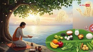Pitru Paksha 2025: पितृ पक्ष में प्याज-लहसुन से क्यों बचें? जानें श्राद्ध में सात्विक भोजन का महत्व और चंद्र ग्रहण का संयोग!