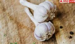 ਬਜ਼ਾਰ ‘ਚ ਵਿੱਕ ਰਿਹਾ ਸੀਮਿੰਟ ਨਾਲ ਬਣਿਆ ਲਸਣ, ਇਦਾਂ ਕਰੋ ਪਛਾਣ, ਜਾਣੋ ਸਿਹਤ ਲਈ ਕਿੰਨਾ ਖਤਰਨਾਕ?