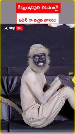 కిష్కింధపురి ఈవెంట్లో సడెన్ గా వచ్చిన వానరం
