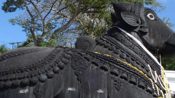 পৌরাণিক কাহিনি অনুযায়ী, মহিষাসুর ছিলেন অসুরদের পরাক্রমশালী রাজা। তার বাবা ছিলেন অসুরদের রাজা রম্ভাসুর এবং মা ছিলেন মহিষী। স্বর্গ থেকে মর্ত্যে আগমন ঘটে অপ্সরা মহিষীর।