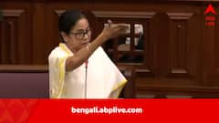 ‘তুমি আর কথা বোলো না, তৃণমূল করতে, টাকার ব্যাপার ছিল’, বিধানসভায় হুলস্থুলুর মধ্যেই BJP বিধায়ককে নিশানা মমতার