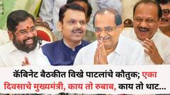 कॅबिनेट बैठकीत विखे पाटलांचे कौतुक; एका दिवसाचे मुख्यमंत्री, काय तो रुबाब, काय तो थाट..., सगळेच हसायला लागले, नेमकं काय घडलं?
