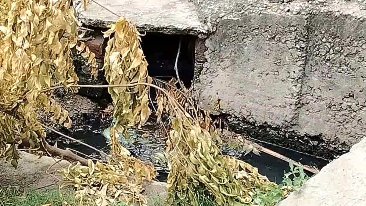 சீர்காழியில் காவு வாங்க காத்திருக்கும் சாக்கடை கால்வாய்: அலட்சியத்தால் அதிகரிக்கும் உயிரிழப்பு அபாயம்! நகராட்சி நடவடிக்கை எடுக்குமா?