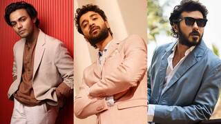 Bollywood Actors: బాలీవుడ్ To టాలీవుడ్ - అంత ఇంట్రెస్ట్ ఎందుకు... అక్కడ విలన్గా ఓకే... మరి ఇక్కడ?