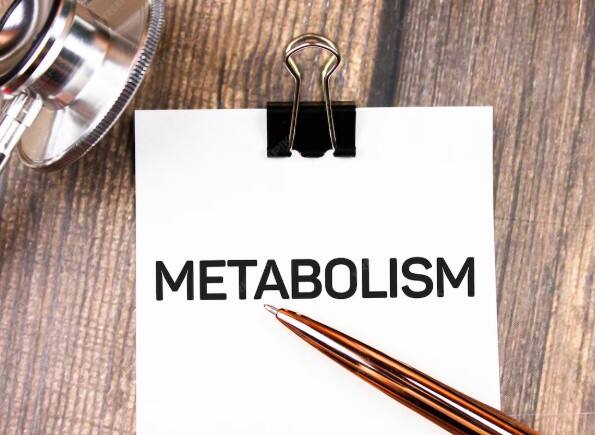 मेटाबॉलिज्म को करता है तेज; जीरे का पानी पीने से शरीर का मेटाबॉलिज्म तेज होता है. जब मेटाबॉलिज्म सही तरह से काम करता है तो फैट बर्न तेजी से होता है और वजन घटाने में आसानी होती है.