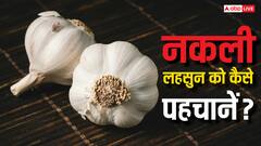 बाजार में बिक रहा सीमेंट से बना लहसुन, इसे कैसे पहचानें और यह सेहत के लिए कितना खतरनाक?