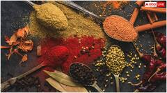 कितने देशों में मसाले बेचता है भारत, जानें कैसे बना मसालों का महाराजा?
