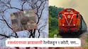 एका झाडासाठी शेतकऱ्याला रेल्वेकडून 1 कोटीची नुकसानभरपाई, पण...; मुल्यांकनात निघालं दुसरच झाड, विषय हायकोर्टात