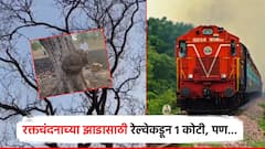 एका झाडासाठी शेतकऱ्याला रेल्वेकडून 1 कोटीची नुकसानभरपाई, पण...; मुल्यांकनात निघालं दुसरच झाड, विषय हायकोर्टात