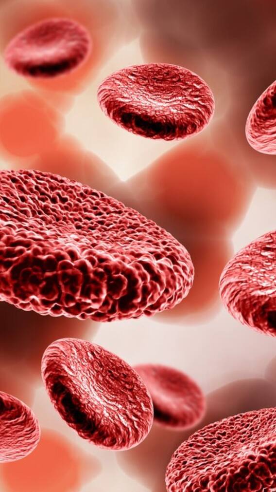 রক্তনালীতে হচ্ছে ব্লকেজ ! সতর্ক করে দেবে এই ১০ লক্ষণ