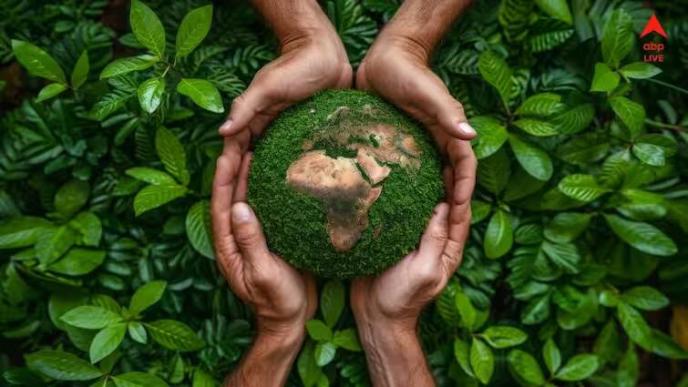 Patanjali: వినియోగదారులకు అద్భుతమైన సేవలు అందిస్తూనే భూమికి రక్షణ - పతంజలికి ఎలా సాధ్యమవుతోంది ?