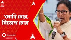 Mamata Banerjee: 'এরা বাংলা বিরোধী, মোদি চোর, বিজেপ চোর', বিধানসভায় স্লোগান মমতার