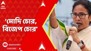 Mamata Banerjee: 'এরা বাংলা বিরোধী, মোদি চোর, বিজেপ চোর', বিধানসভায় স্লোগান মমতার