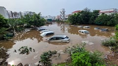 Heavy Rain Triggers Ring Flood Alarms In Gujarat's Surat, Vadodara, Bharuch