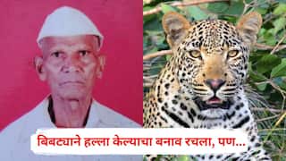 Nashik Crime : आधी व्याह्यानेच व्याह्याला संपवलं, नंतर बिबट्याने हल्ला केल्याचा बनाव रचला, पण 'त्या' चुकीनं झाला भांडाफोड; नाशिकमधील घटना
