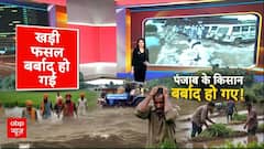 Punjab Flood: पंजाब के सभी 23 जिले बाढ़ में डूबे, लाखों हेक्टेयर खेती बर्बाद, बाढ़ में 40 की मौत