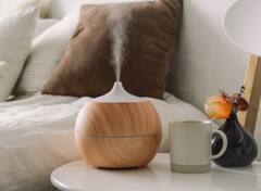 आप भी तो नहीं रखते बेडरूम में ये चीजें, सेहत पर पड़ सकती है भारी