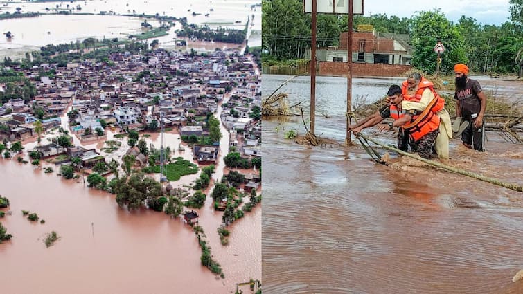 Punjab Floods: Red Alert In Ludhiana As Sutlej Embankment Weakens, 43 Dead Across State