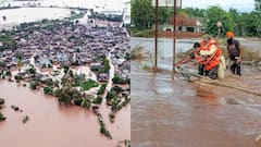 Punjab Floods: Red Alert In Ludhiana As Sutlej Embankment Weakens, 43 Dead Across State