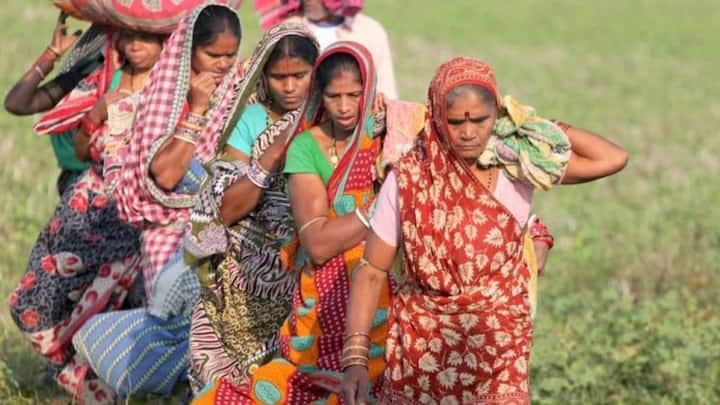 पिछले कुछ सालों में महिलाओं की मदद के लिए कई कल्याणकारी योजनाएं शुरू की गई हैं. इनका सबसे बड़ा फायदा ग्रामीण और गरीब वर्ग की महिलाओं को मिलता है. पहले ग्रामीण इलाकों में मिट्टी के चूल्हों पर खाना बनता था.