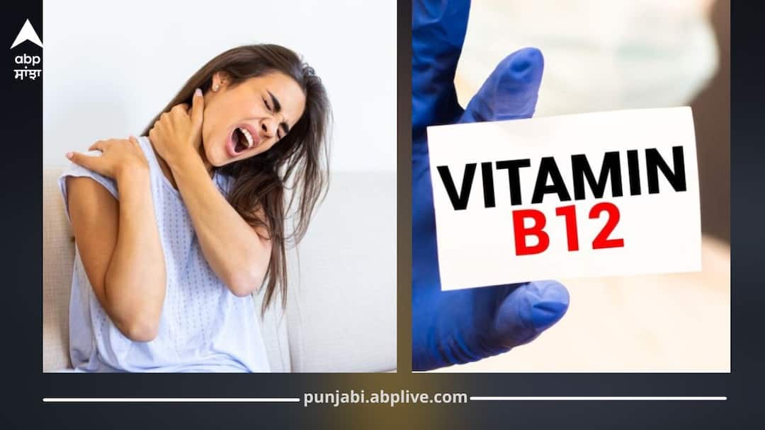 ਸਾਰਾ ਦਿਨ ਸਰੀਰ ਰਹਿੰਦਾ ਥੱਕਿਆ-ਥੱਕਿਆ? ਕਿਤੇ ਵਿਟਾਮਿਨ B-12 ਦੀ ਕਮੀ ਤਾਂ ਨਹੀਂ! ਇਹ ਚੀਜ਼ਾਂ ਦੇ ਸੇਵਨ ਨਾਲ ਚਾਰਜ ਕਰੋ ਸਰੀਰ ਦੀ ਬੈਟਰੀ Feeling tired all day? You might be low on Vitamin B12 — boost your energy with these foods ਸਾਰਾ ਦਿਨ ਸਰੀਰ ਰਹਿੰਦਾ ਥੱਕਿਆ-ਥੱਕਿਆ? ਕਿਤੇ ਵਿਟਾਮਿਨ B-12 ਦੀ ਕਮੀ ਤਾਂ ਨਹੀਂ! ਇਹ ਚੀਜ਼ਾਂ ਦੇ ਸੇਵਨ ਨਾਲ ਚਾਰਜ ਕਰੋ ਸਰੀਰ ਦੀ ਬੈਟਰੀ