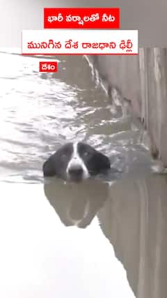 భారీ వర్షాలతో నీట  మునిగిన దేశ రాజధాని ఢిల్లీ