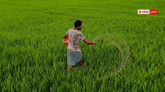 MP: प्रधानमंत्री फसल बीमा योजना सवालों के घेरे में, कांग्रेस ने पूछा- हजारों करोड़ प्रीमियम गया कहां?