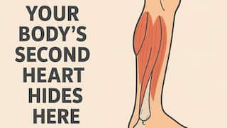 Did You Know You Have A Second Heart In Your Body? It Can Help You Live Longer