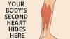 Did You Know You Have A Second Heart In Your Body? It Can Help You Live Longer