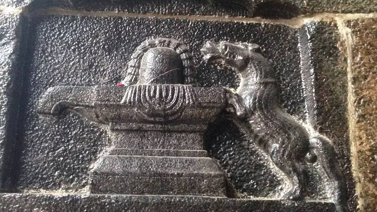 ’சிவனை வழிபட்ட புனுகுப் பூனை’ எங்கே, எதற்கு தெரியுமா..?