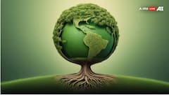 ਗਾਹਕਾਂ ਦੀ ਸੇਵਾ ਕਰਦੇ ਹੋਏ ਧਰਤੀ ਦੀ ਰੱਖਿਆ ਕਰ ਰਿਹਾ ਪਤੰਜਲੀ ਦਾ ਜੈਵਿਕ ਅਭਿਆਨ ?