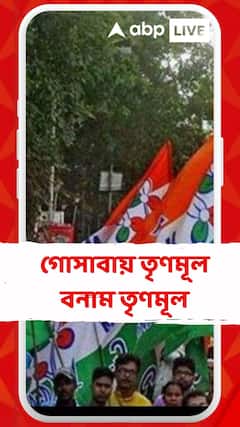 গোসাবায় তৃণমূল বনাম তৃণমূল, পঞ্চায়েত সদস্যকে প্রাণনাশের হুমকি প্রধানের অনুগামীদের বিরুদ্ধে