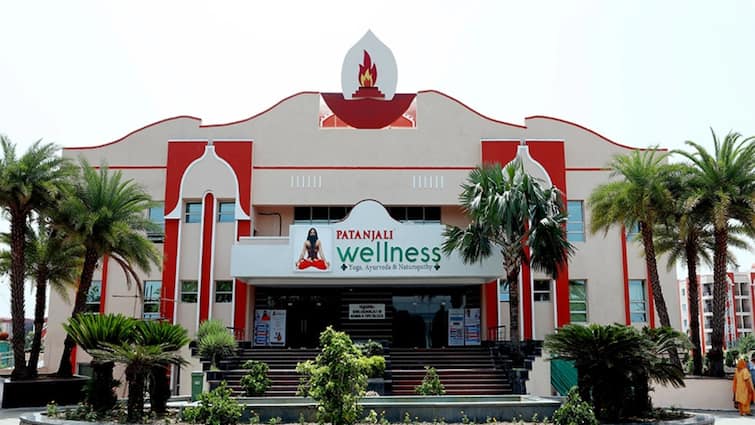 Patanjali Touts Natural Therapies As Alternative To Chemical Medicines