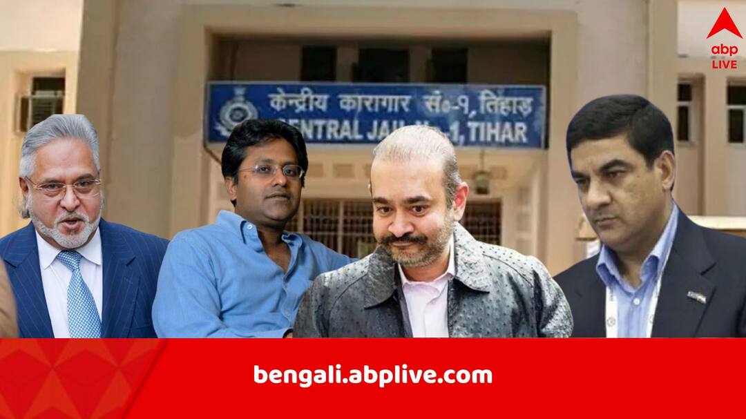 UK team visits Tihar jail as India trying to extradite fugitives like Vijay Mallya Lalit Modi Nirav Modi Sanjat Bhandari Indian Fugitives: বিজয় মাল্য, নীরব মোদি, ললিত মোদির থাকার উপযুক্ত তো! তিহাড় জেল পরিদর্শন করে গেলেন ব্রিটেনের আধিকারিকরা