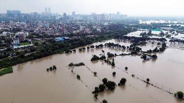 नोएडा में भी दिखा यमुना का कहर, सेक्टर-135 के निचले इलाकों में घुसा पानी, फसलें भी जलमग्न