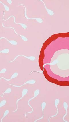 शुक्राणूंची गुणवत्ता वाढवायचीय? 'या' गोष्टी खाल्ल्याने होऊ शकतो फायदा