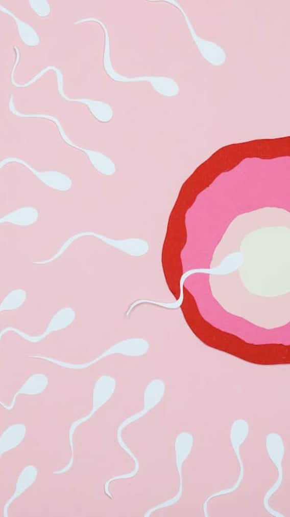 शुक्राणूंची गुणवत्ता वाढवायचीय? 'या' गोष्टी खाल्ल्याने होऊ शकतो फायदा